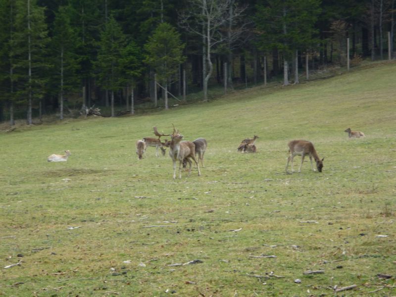 P1000690