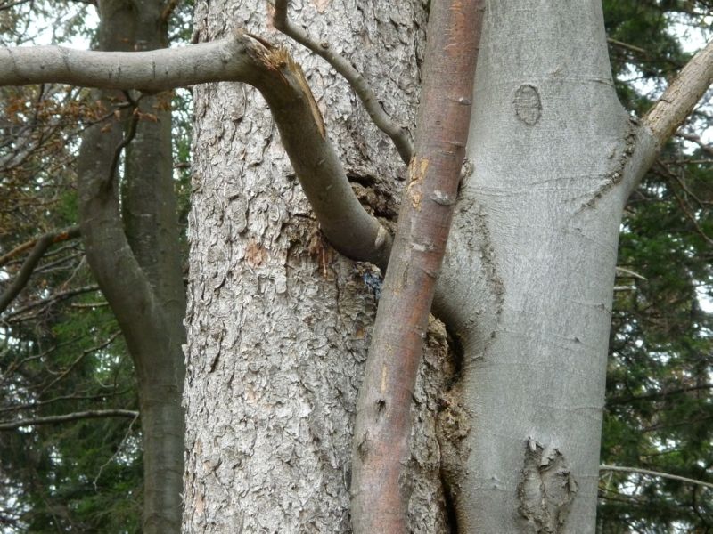 P1000694