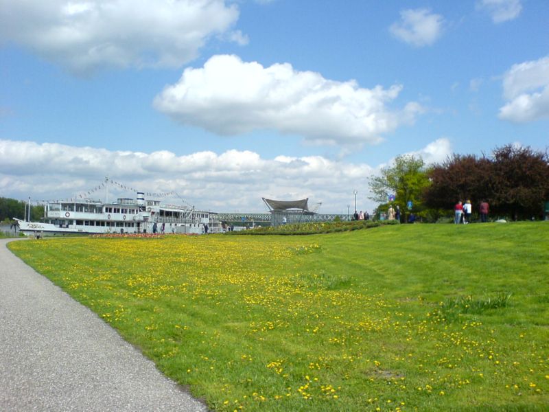 DSC00201
