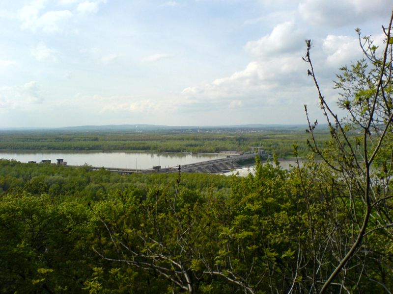 DSC00210
