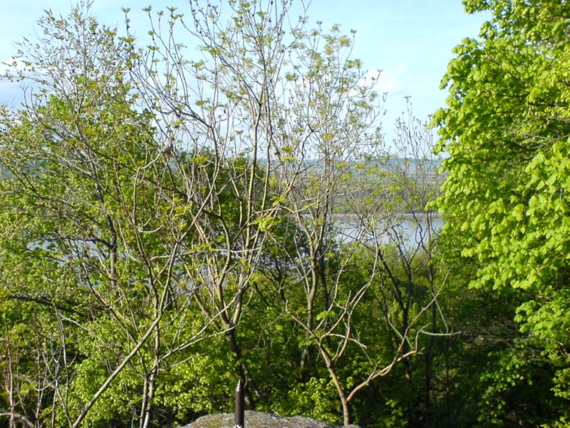 DSC00213