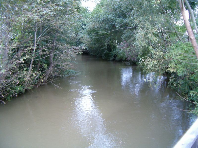 HPIM0984